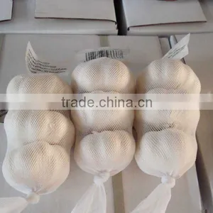 Chinese Pure White Garlic thumbnail-1