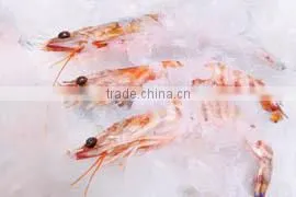 Industrial Flake Ice Machine for Seafood Keeping thumbnail-6