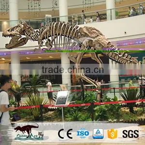 OA-SD-L100 Quality Fossil Replica Museum Dinosaur Skeleton thumbnail-6