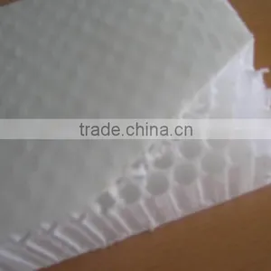 High Quality Polypropylene Honeycomb Sandwich Panel thumbnail-2