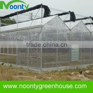 Greenhouse Construction thumbnail-1