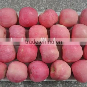 2015 Fresh Fuji Apple on Sale in Hot Sale Season With High Quality and Lowest Price thumbnail-2