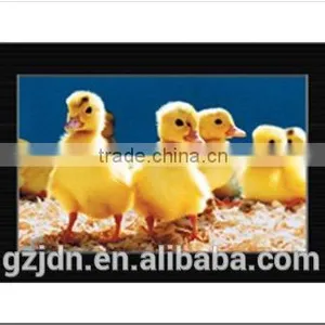 LCD/LED Indoor Advertising Display_lcd Advertising Player 65 Inch 60 Inch Lcd Advertising Player thumbnail-3
