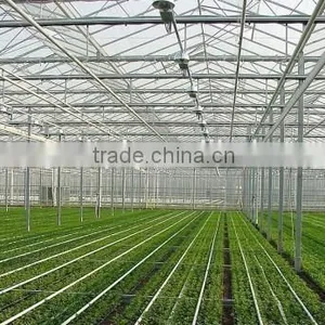 Large Multi-span Commercial Agriculture Greenhouse thumbnail-4
