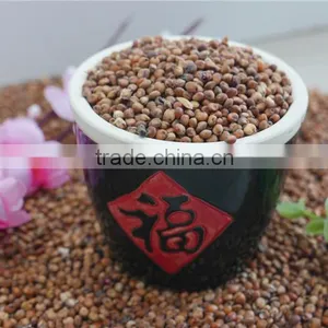 Red Sorghum With High Quality And Cooperate Price From China thumbnail-6