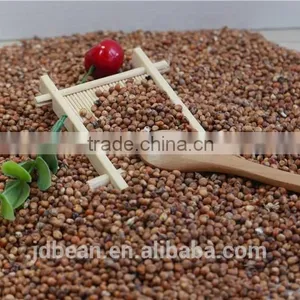 2016 Non-GMO Organic Glutinous Red Sorghum Sticky Sorghum thumbnail-6