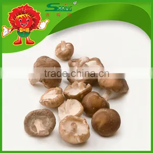 Best Fresh Matsutake Mushroom for Sale Frozen Mushrooms thumbnail-3