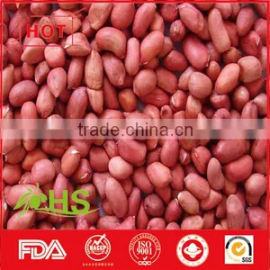 Blanched Peanut Kernel/Peanuts in Red Shell/Peanut Kernels thumbnail-5