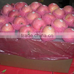 Gala Apple thumbnail-2