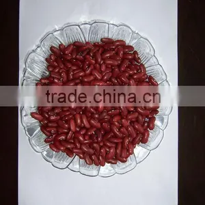 Chinese Red Kidney Beans With Good Quality for European Market thumbnail-1
