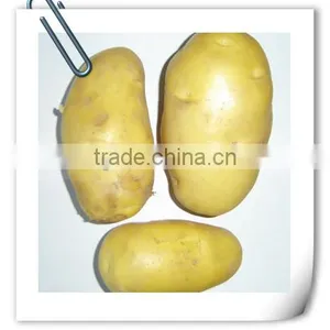 Potato Prices From Chinese Fresh Potato Export to Mideast and Southeast Aisia thumbnail-3
