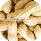 Peanut thumbnail-1