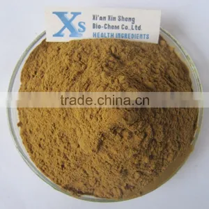 GMP Kosher Natural Hericium Erinaceus Extract Polysaccharide thumbnail-1