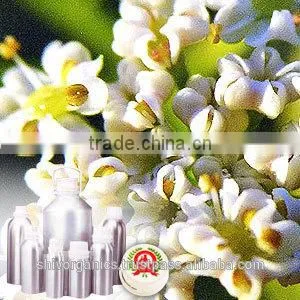 Caraway Oil thumbnail-1
