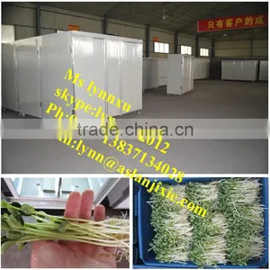 Soyabean Sprouting Machine /automatic Bean Sprout Machine thumbnail-1