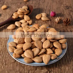 Apricot Kernels thumbnail-3