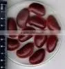 Physostigma Venenosum thumbnail-1