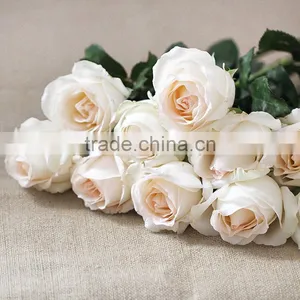 Supply Various Colors Fresh Rose Flowers From Kunming Plants Base thumbnail-3