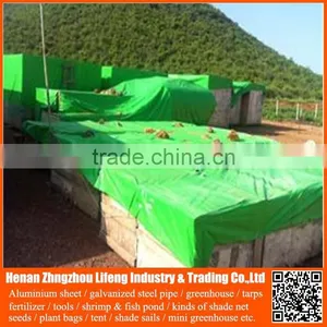 Waterproof pe Plastic Green / Blue / Orange Garden Tool Cover Tarps for Roofing Cover thumbnail-6