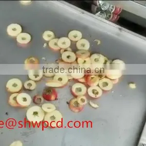2016 Hot Sale Apple Ring Cutter/electric Apple Core Remover and Ring Cutter/apple Core Removing and Cutting Processing Machine thumbnail-1