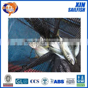 Factory Price of Colorful Plastic Fishing Net Munufacturer thumbnail-5