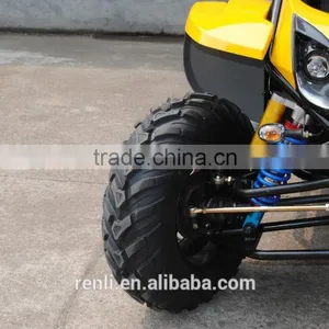 1500cc Fantastic Buggies Types Made in China for Sale thumbnail-3