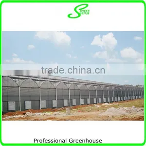 Agricultural Used Greenhouse Manufacturer thumbnail-1
