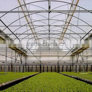 Film Seeding Greenhouse for Sale thumbnail-1