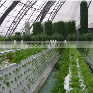 Professional Greenhouse Project Commercial Hydroponic Systems thumbnail-1