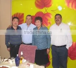 Tianjin Litai Shoes Co., Ltd. company overview - view 3 thumbnail