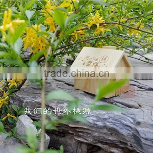 Decor House Wooden Present Money Box thumbnail-3
