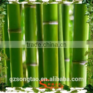 High Quality Ornament Artificial Bamboo Bonsai, Artificial Bamboo Plants, Lucky Bamboo Artificial Pole thumbnail-2