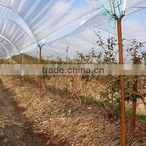 Cheap High Quality 2 Hooks Hoop House Anchor thumbnail-6
