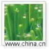 Environmental Section of Wall thumbnail-1