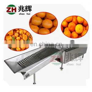 Efficient Vegetable and Fruit Sorting Machine/tomato Grader /orange Sorting Machine thumbnail-4
