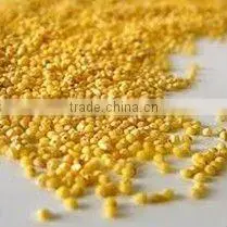Organic Yellow White Millet thumbnail-1