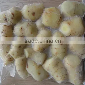 Good Price Yellow Frozen Ginger Root thumbnail-2
