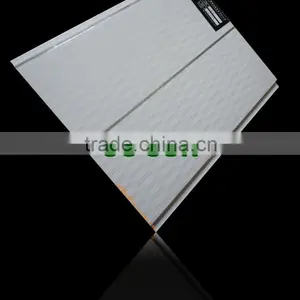 2012 Haining The Newest Bathroom Wall Panel thumbnail-1