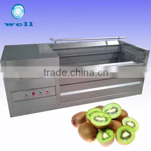 Kiwi Fruit Washing Cleaning Machine|Vegetable Washing Machine thumbnail-1