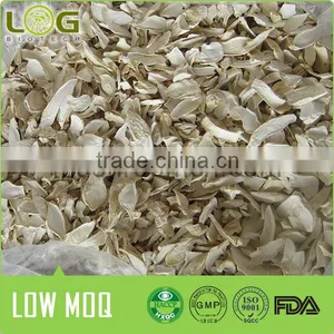 Moisture Free Pleurotus Eryngii King Oyster Mushroom thumbnail-2
