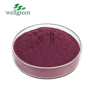Plant Factory Hot Sale Low Price No Additives Food Grade Natural Elderberry Extract thumbnail-1