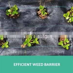 Black Color Weed Mat Woven Greenhouse Ground Cover thumbnail-5