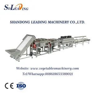Automatic Industrial Palm Dates Processing Machine High Capacity Dates Washing Pitting Grading Drying Line for Dates Factory thumbnail-4