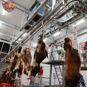 HACCP Qualified Beef Slaughtering Equipment Automatic Cattle Killing Line Abattoir Plant Machinery Custom Solution thumbnail-4