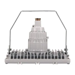 DGS80/127L(A) 20-80w Explosion-proof Laneway Lamp, Flameproof Tunnel Lamp thumbnail-2
