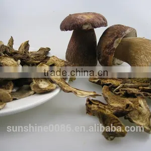 Dried Mushroom thumbnail-3