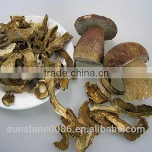 Dried Mushroom thumbnail-4