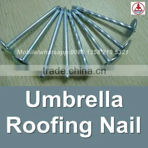 China 1 Lb. Electro Galvanized Roof Nail thumbnail-3