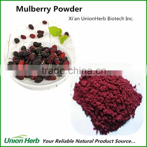 Organic Mulberry Powder Freeze Dried With Good Mulberry Fruit Powder Taste and Flavor thumbnail-1