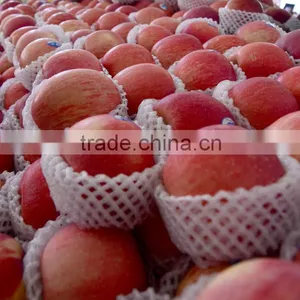 Hot Selling Good Quality EPE Foam Fruit Net thumbnail-3
